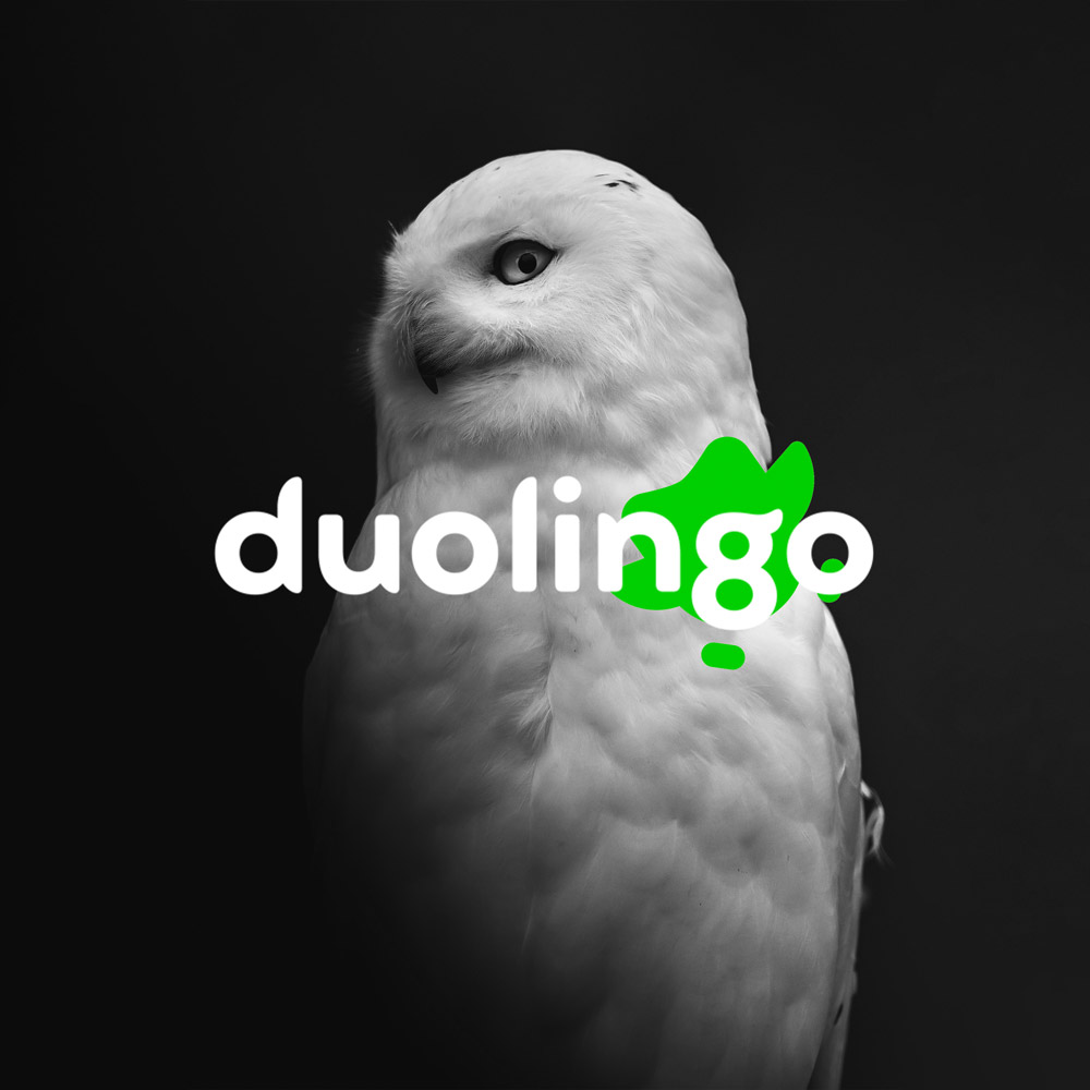 اکانت سوپر دولینگو Super Duolingo (دولینگو پلاس)
