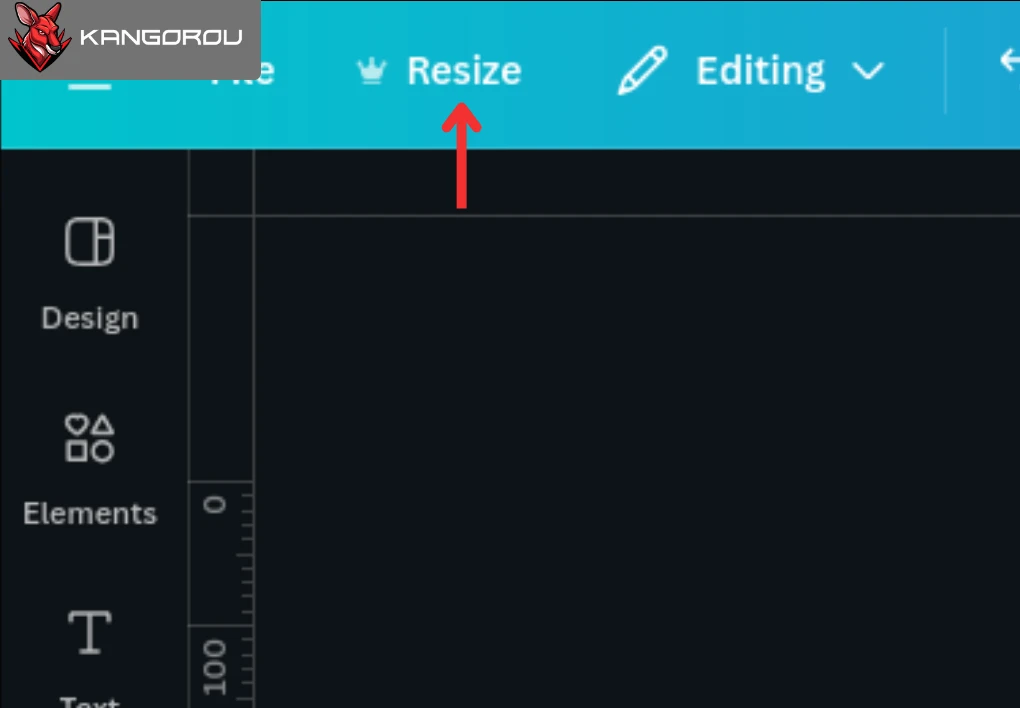 Resize