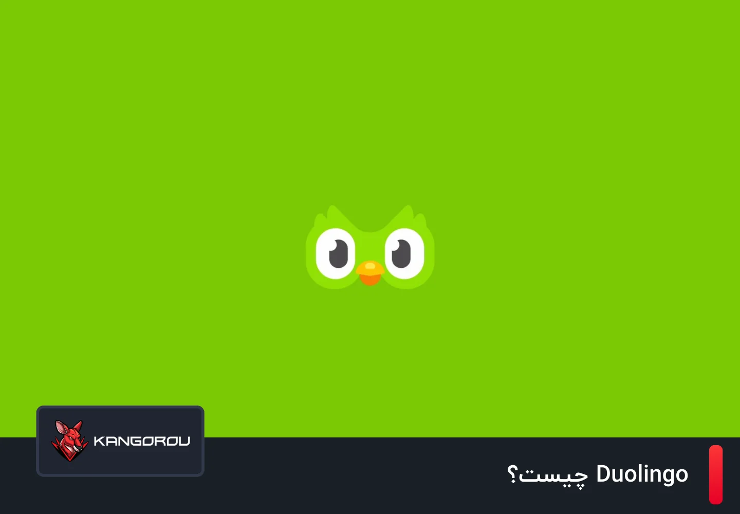 duolingo چیست