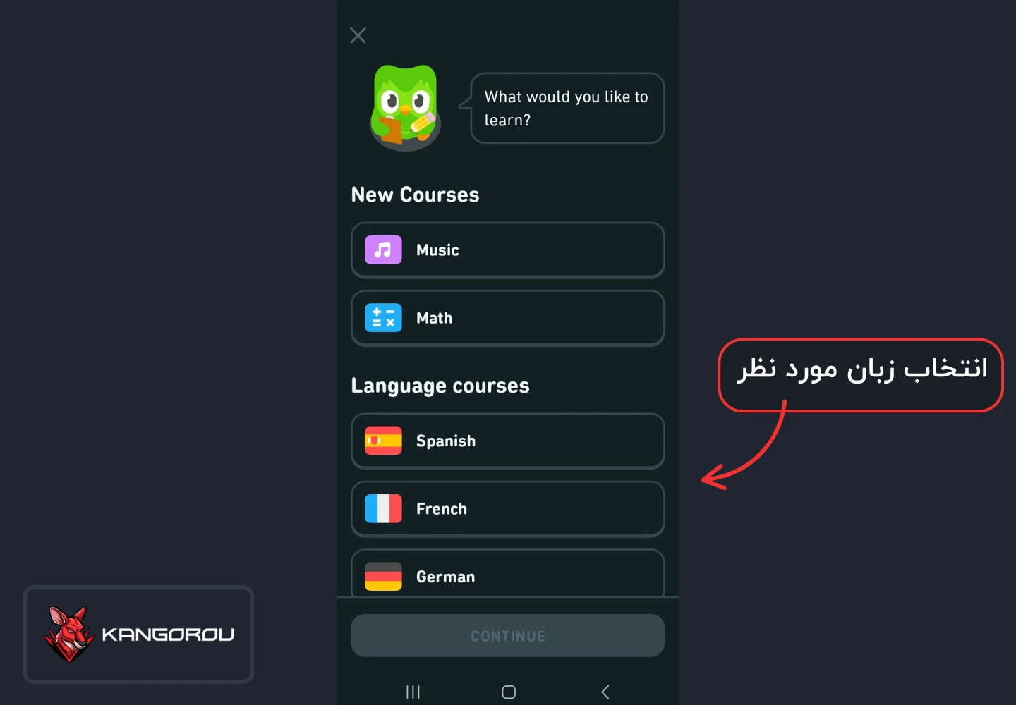 زبان های مختلف دولینگو