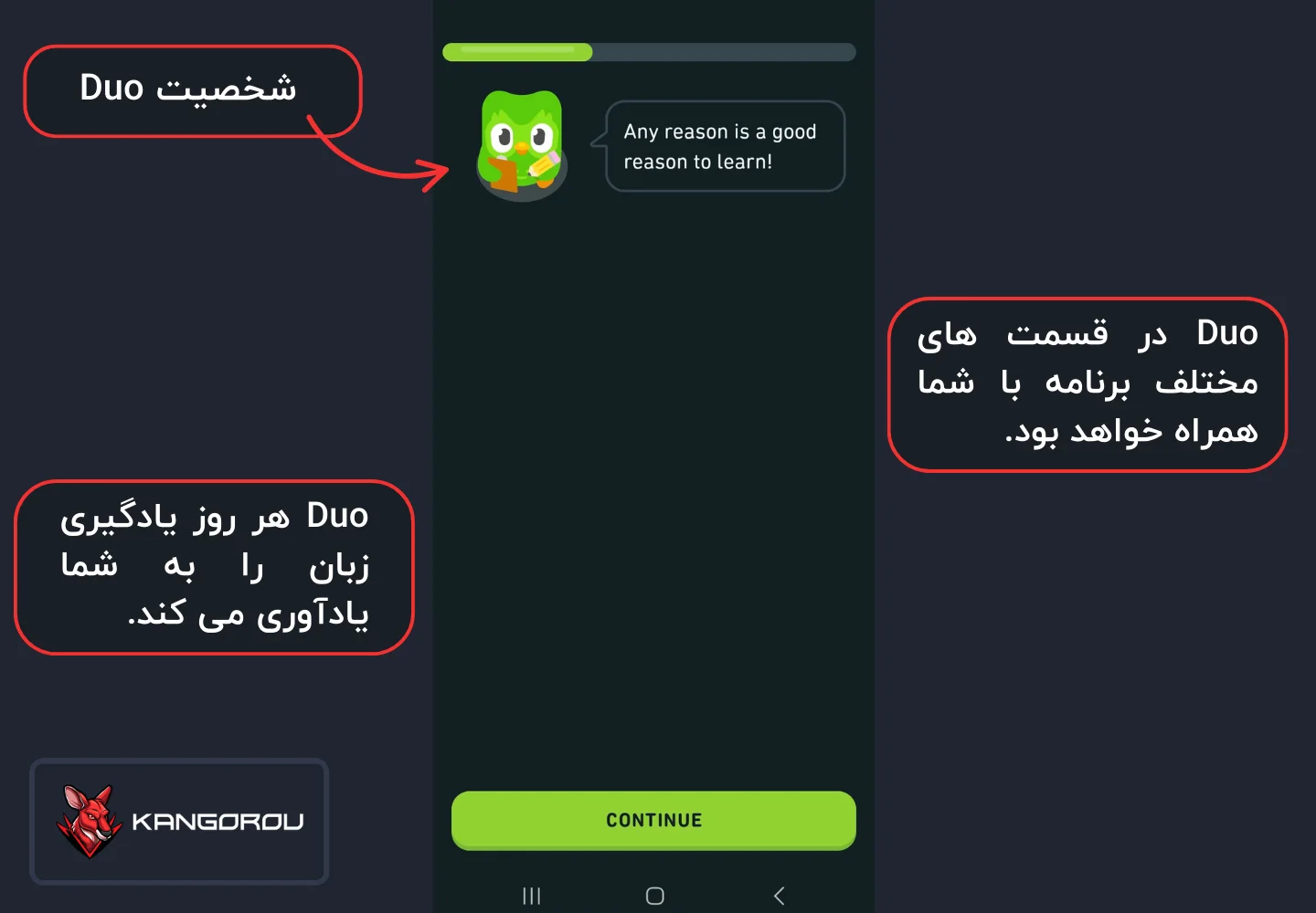 ویژگی های خاص برنامه دولینگو